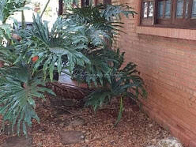 #206 - Chácara para Venda em Araraquara - SP