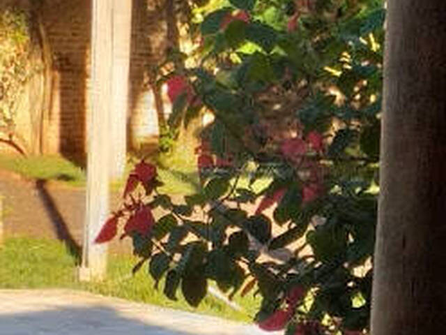 Chácara para Venda em Araraquara - 5